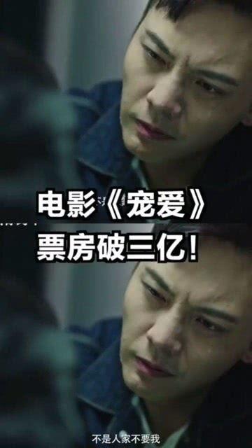 在线观看宠爱电影,温情治愈，宠物与主人间的感人故事  第2张